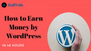 Read more about the article How to Earn Money by WordPress in 48 hours