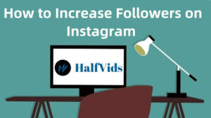 Read more about the article How to Increase Followers on Instagram